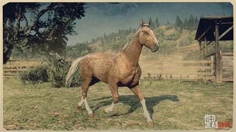 What is the difference between standard and race rdr2