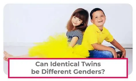 Can twins be both genders