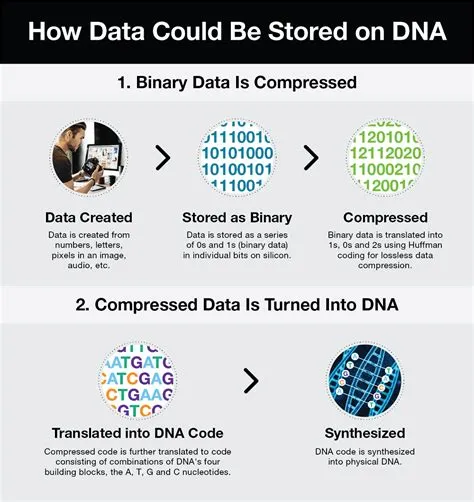 Can dna store data