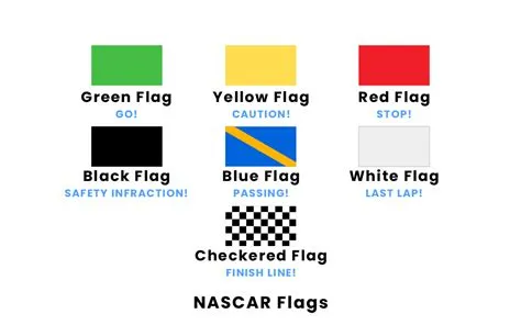 What colour flag stops a f1 race