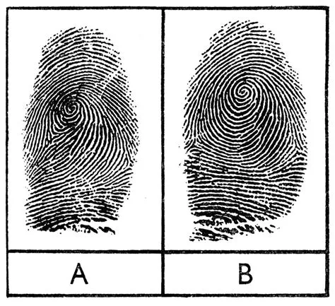 Do twins have same fingerprint