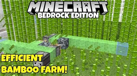 How fast is a bamboo farm in minecraft