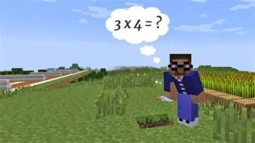 Can minecraft teach math?