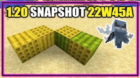 What does the 1.20 snapshot add