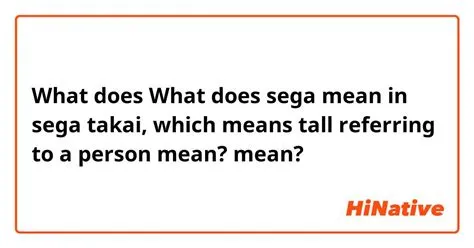 What does sega mean in japanese