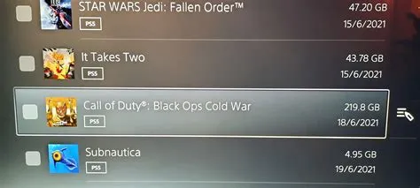 Why is cold war 200gb