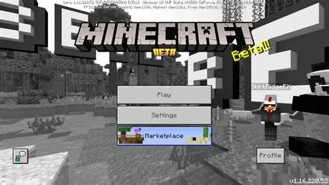 What version is minecraft beta