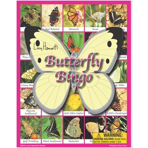 What is a butterfly in bingo