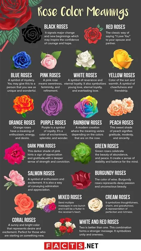 What does 12 roses mean