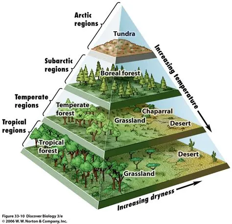 Are there 6 biomes