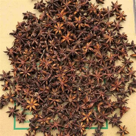 How long does star anise last