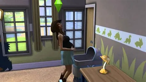 How long does it take for a sim to give birth