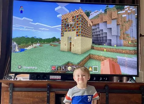 Do 11 year olds play minecraft