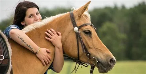 Why do little girls love horses so much