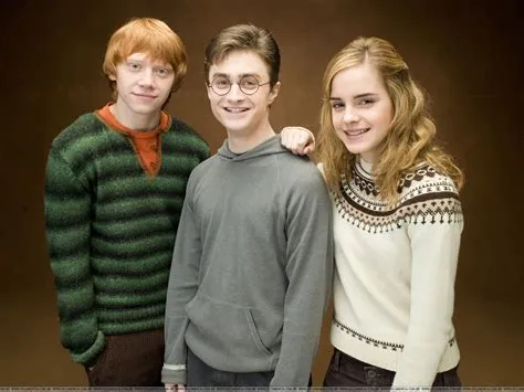 Did harry ron and hermione get paid the same