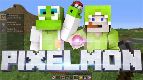 Who owns pixelmon