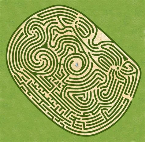 What is the hardest type of maze