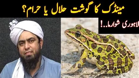 Is frog meat halal or haram