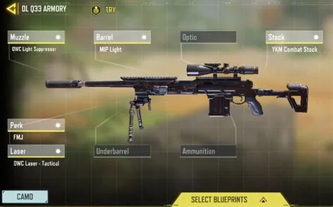 What is the real name of dl q33 sniper