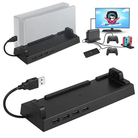 What is the usb for on nintendo switch