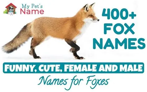 Can fox be a girl name