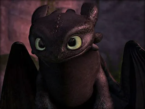 Who trained toothless