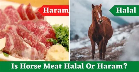 Is horse meat haram in islam