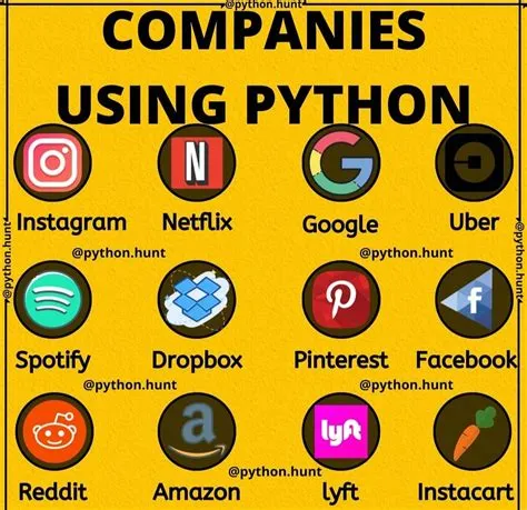 What 4 companies use python