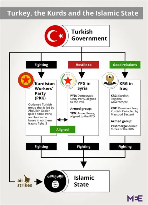 Does turkey have any allies