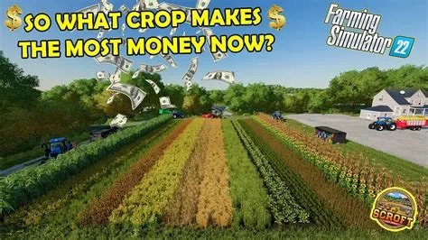 What crop makes the most money in fs22