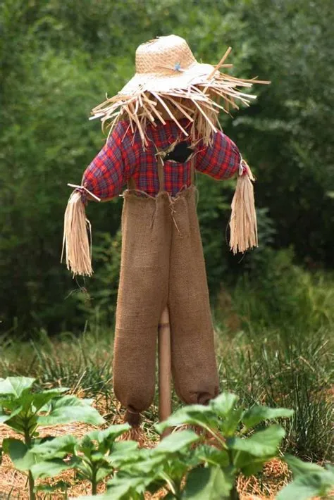 Are scarecrows effective