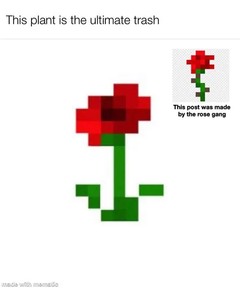 Why did minecraft remove roses