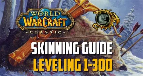 Where to level skinning past 300