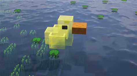 What is a minecraft duck