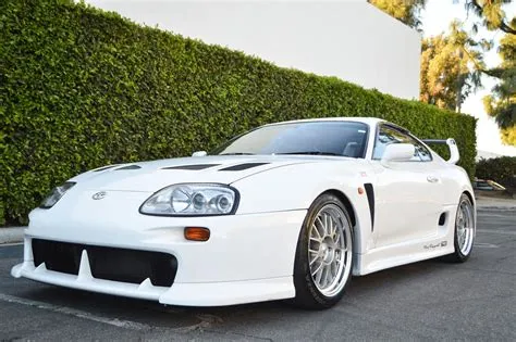 Why is supra so rare