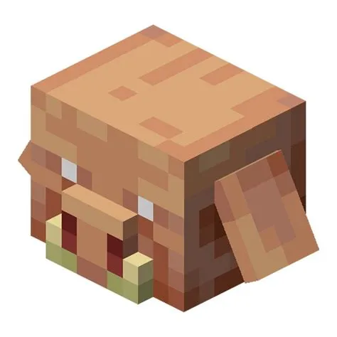 What is the rarest head in minecraft