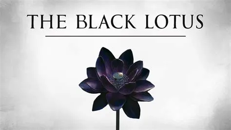 How many black lotus exist now