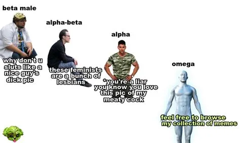 What does alpha and beta mean slang