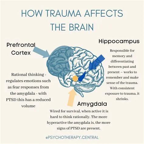 Does vr impact your brain