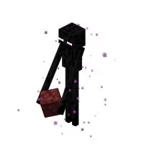 Who is endermen?