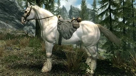 Does your horse follow you in skyrim