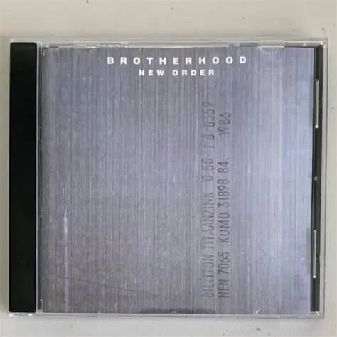 Who in the brotherhood is a synth