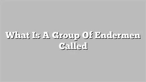 What is a group of endermen called