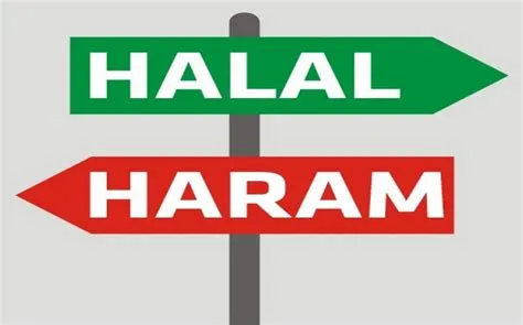 Is metatrader 5 halal or haram