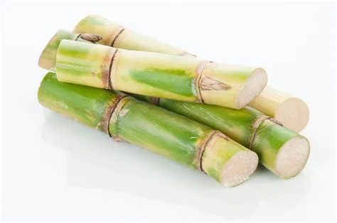 What is 5 of sugarcane