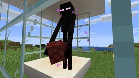 What do endermen like to pick up