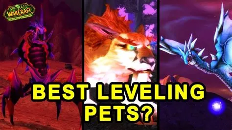 What pet is best for leveling 1 70 tbc