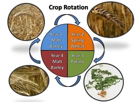 What is the 4 crop rotation method