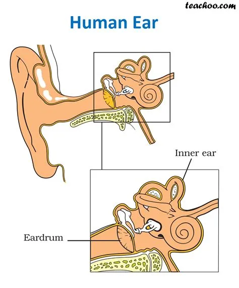 Can humans hear 5hz