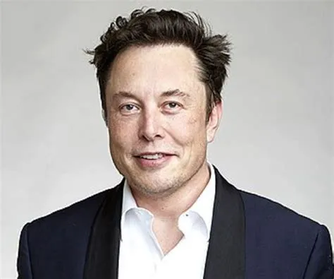 Why is elon so popular